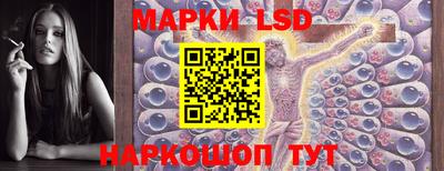 СК Абакан
