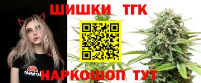 СК Абакан