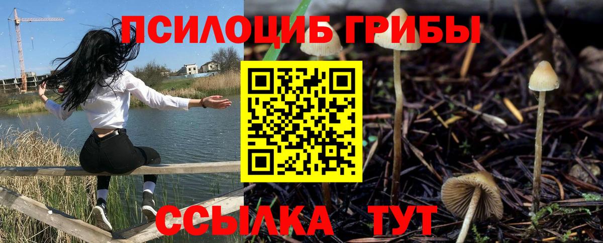 Псилоцибиновые грибы MAGIC MUSHROOMS  Ирбит  Галлюциногенные грибы Cubensis 